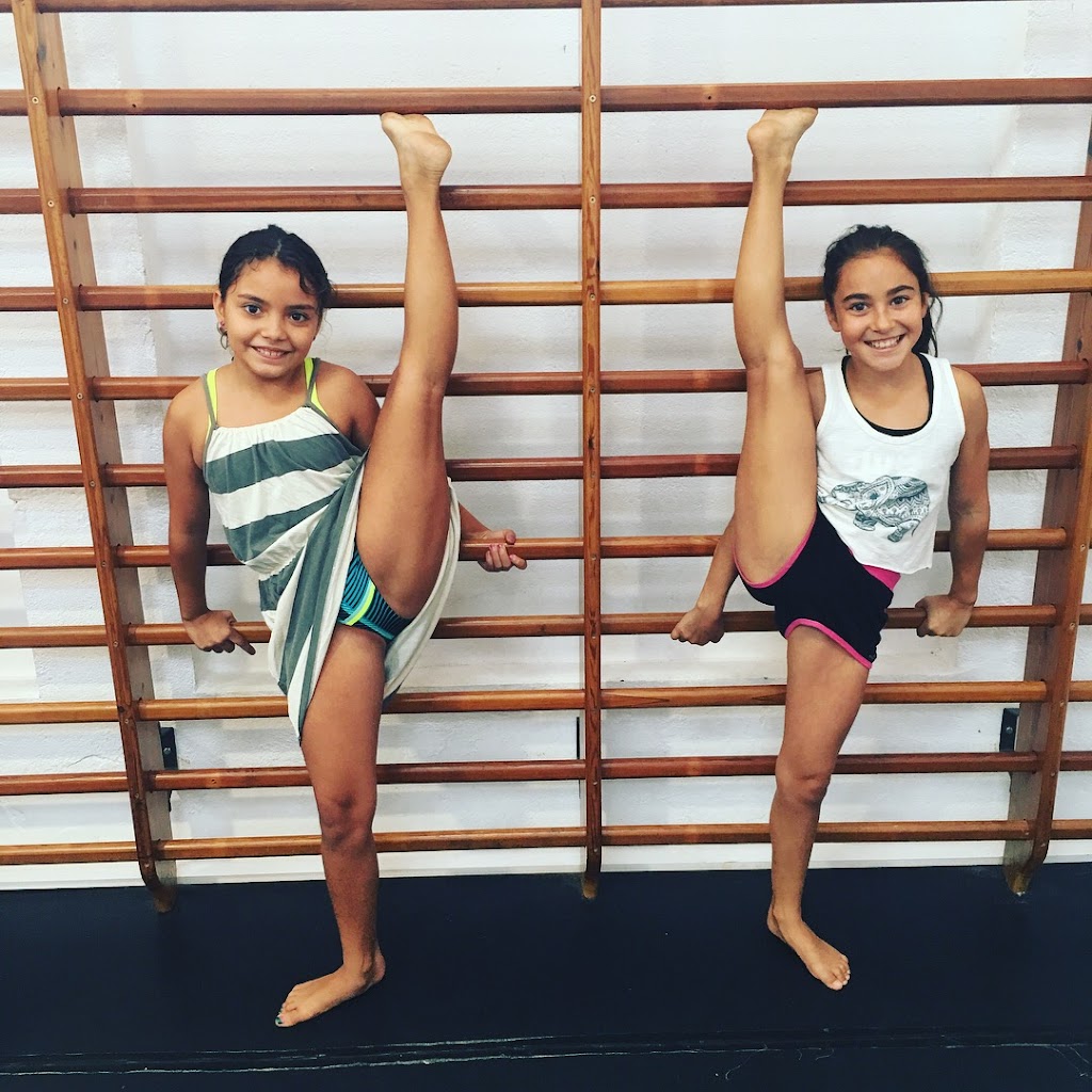 La Fabrica de la dansa