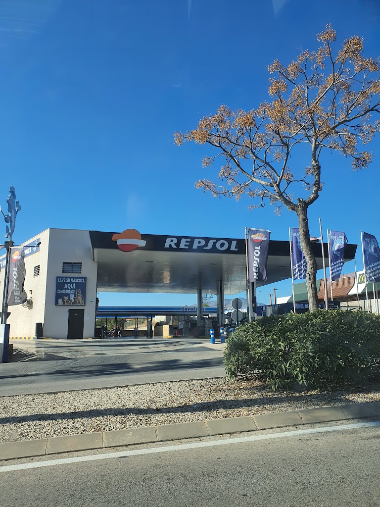 Estacion de Servicio Repsol