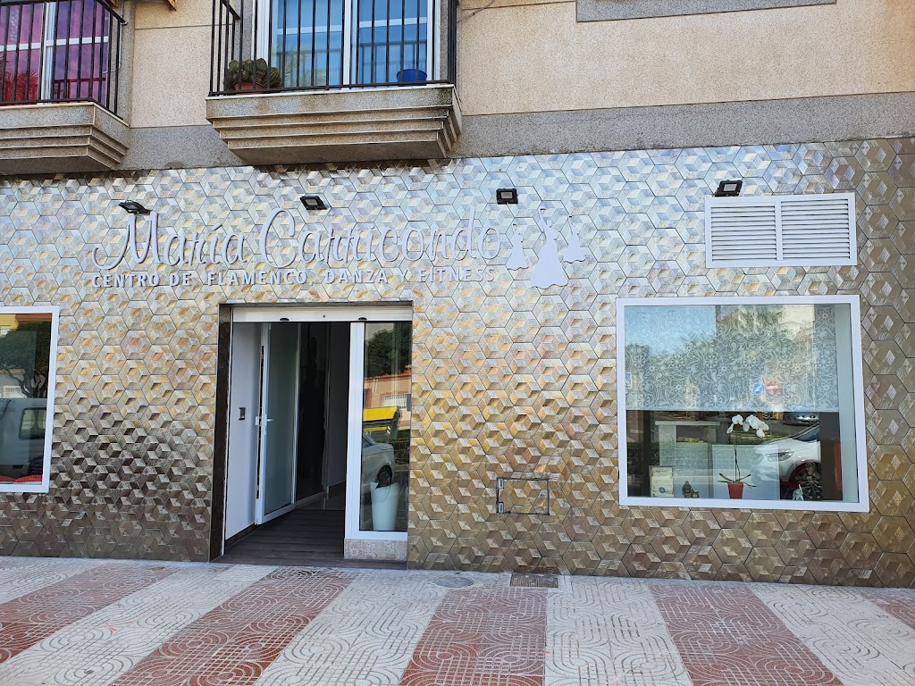 Centro De Flamenco Danza Y Fitnes Maria Carricondo