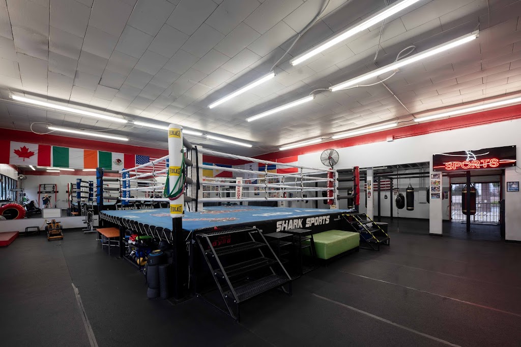  Shark Sports Boxing Gym
