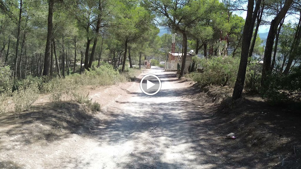 Videos