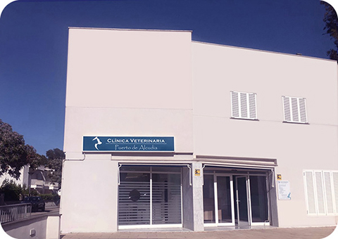 Clinica Veterinaria Puerto de Alcudia