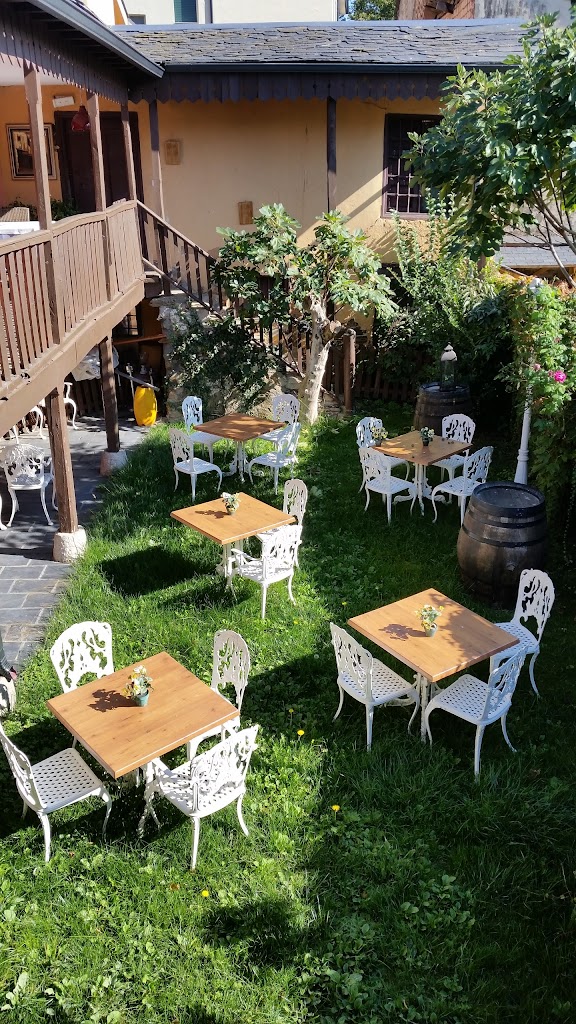 Vinomio Bar & Botanico