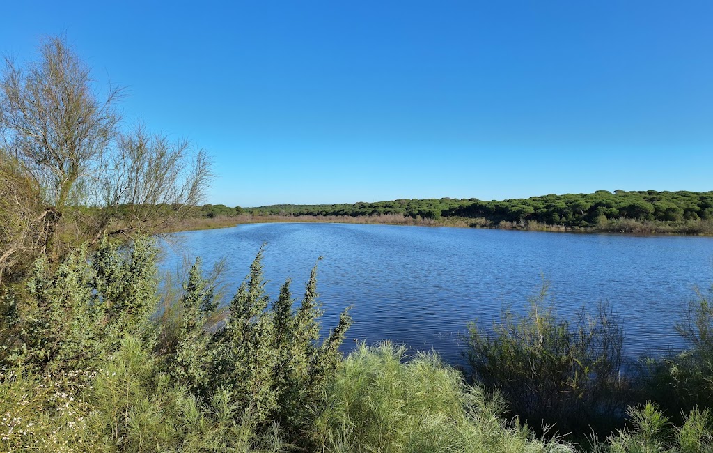 Sendero Laguna del Portil