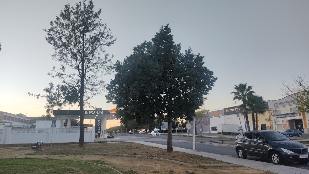 Auto El Castillo de Cartaya (almacen)