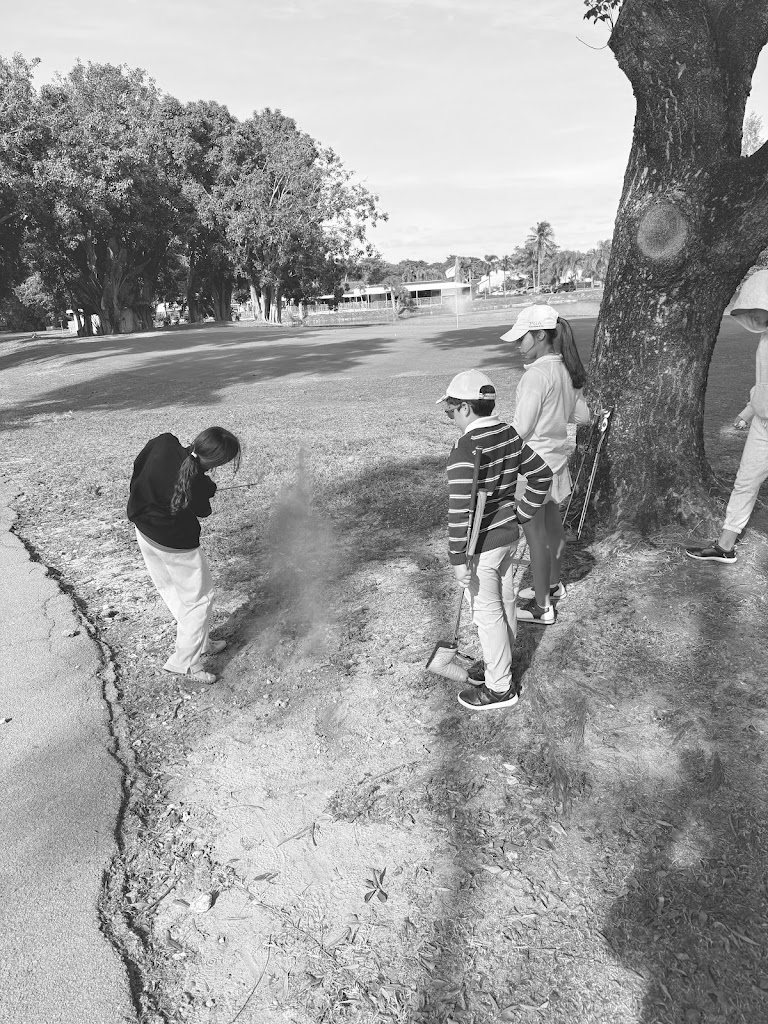  Pure Swings Golf Academy