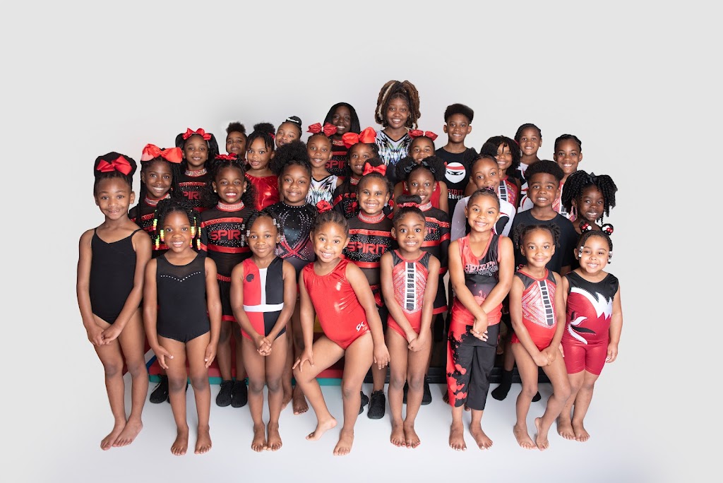  Spirit Technique, LLC