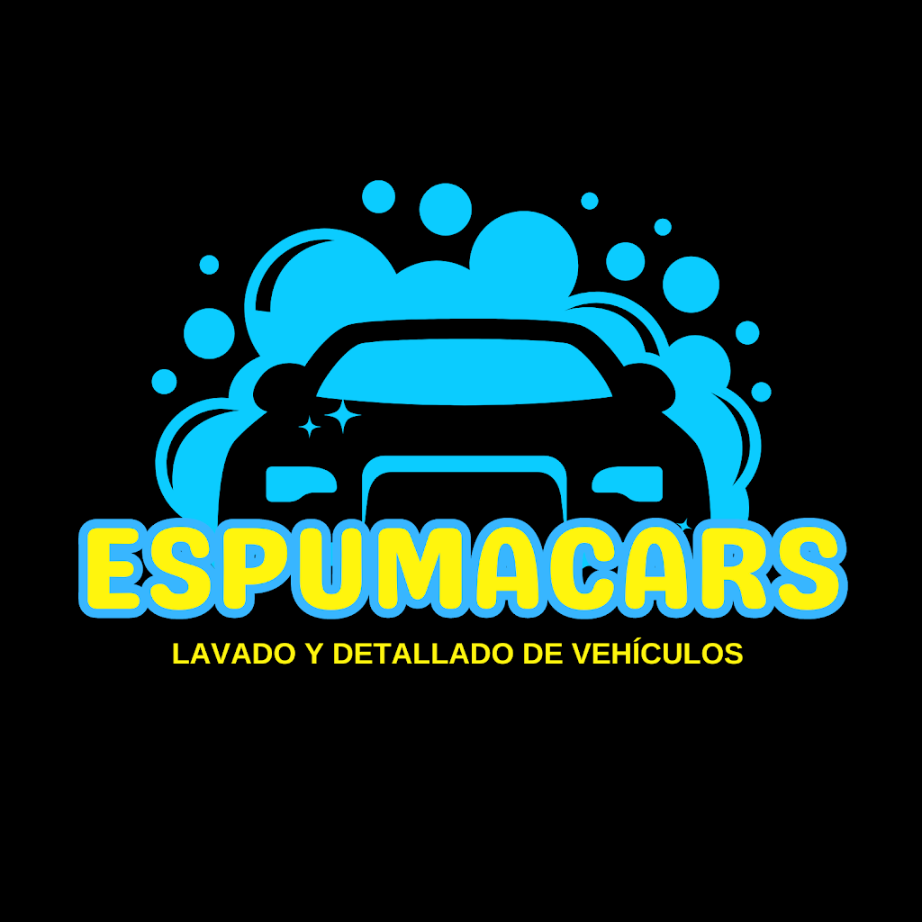 ESPUMACARS — Del propietario