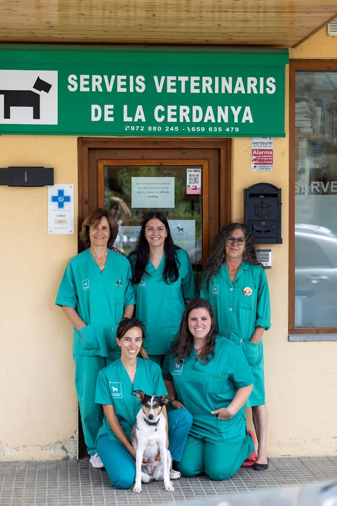 Serveis Veterinaris De La Cerdanya