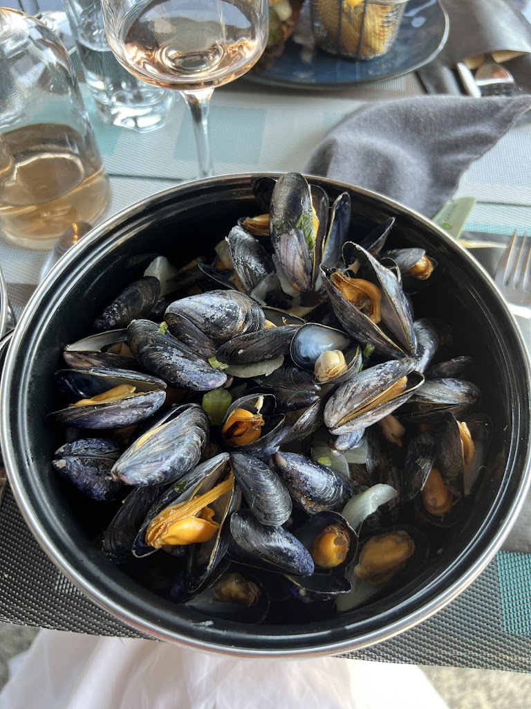 Mussels