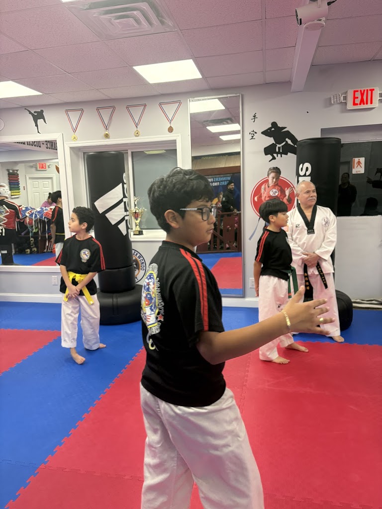  LI World Taekwondo Academy