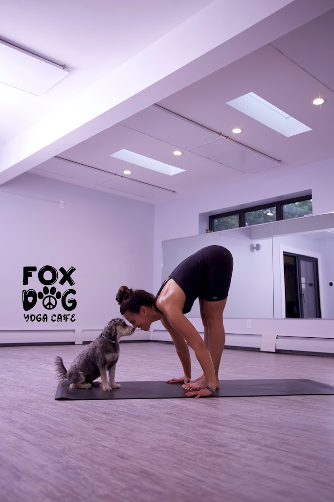  Fox Dog Yoga