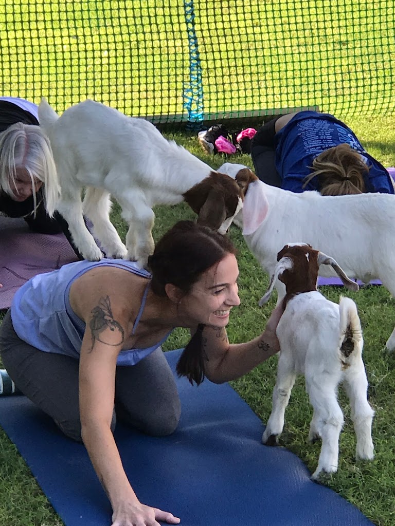  Baby Goat Yoga @ Mesquite Meadows