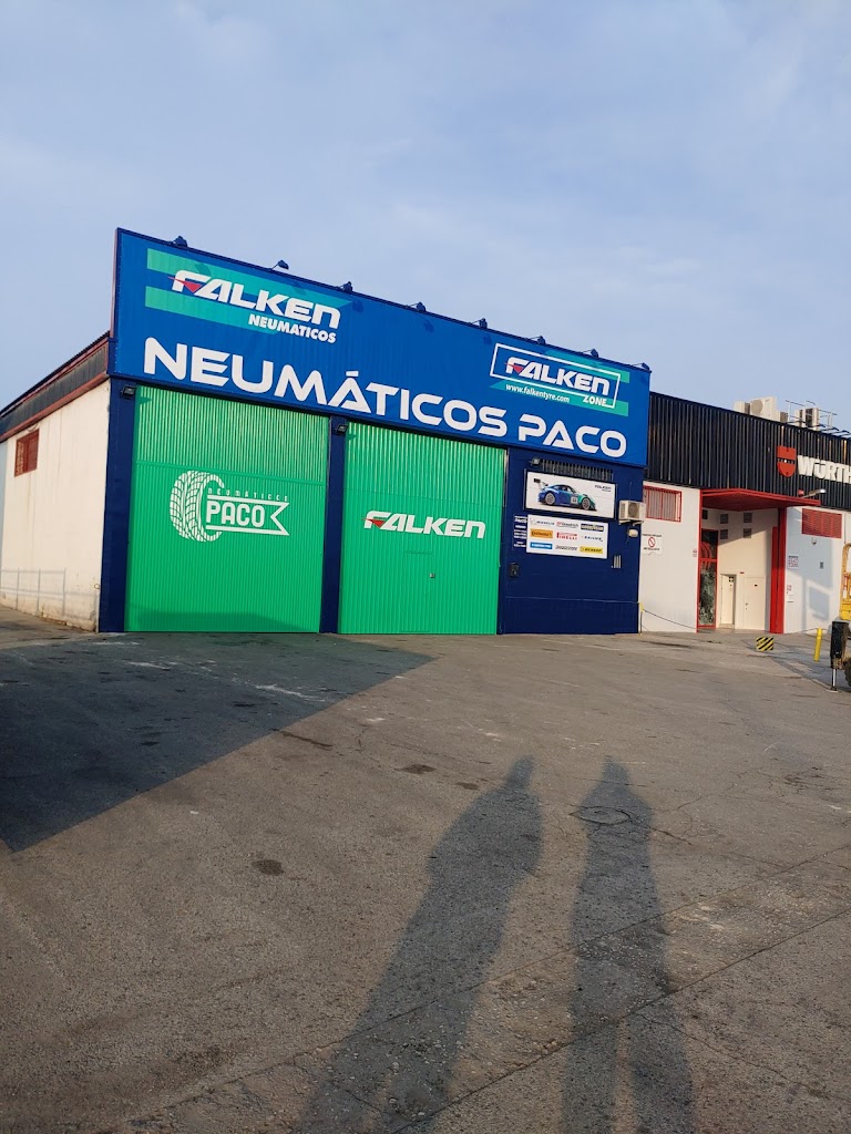 Neumaticos Paco