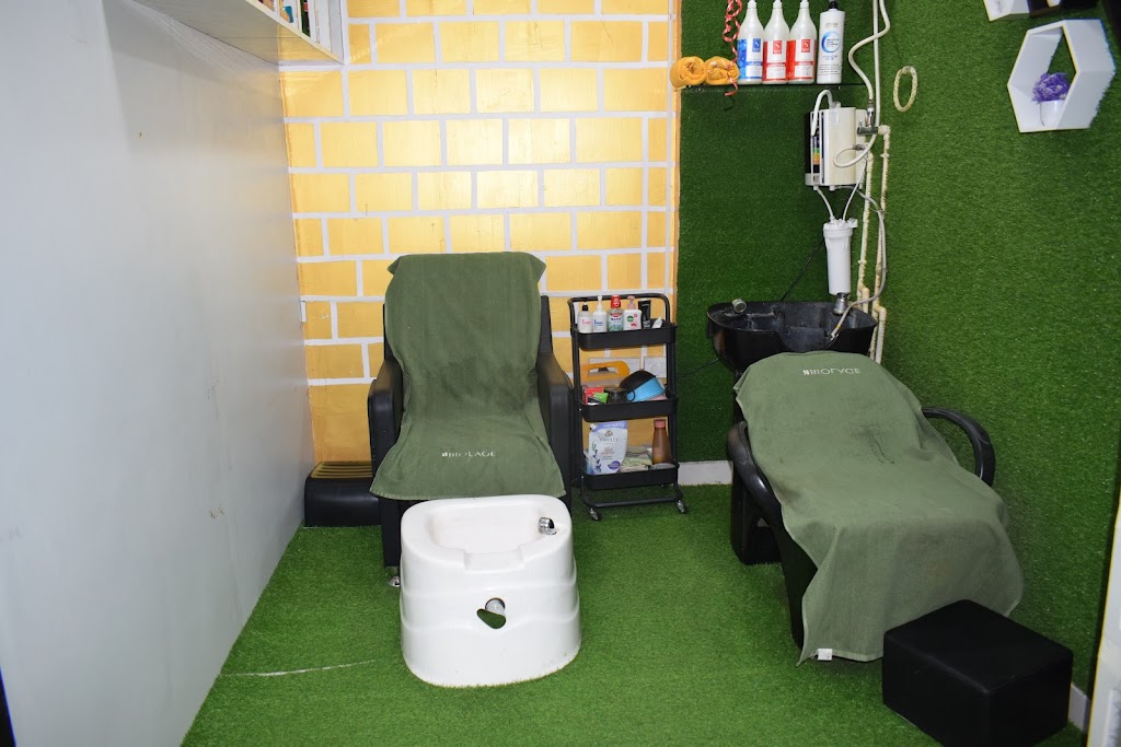 Anvikas Herbal Beauty Parlour