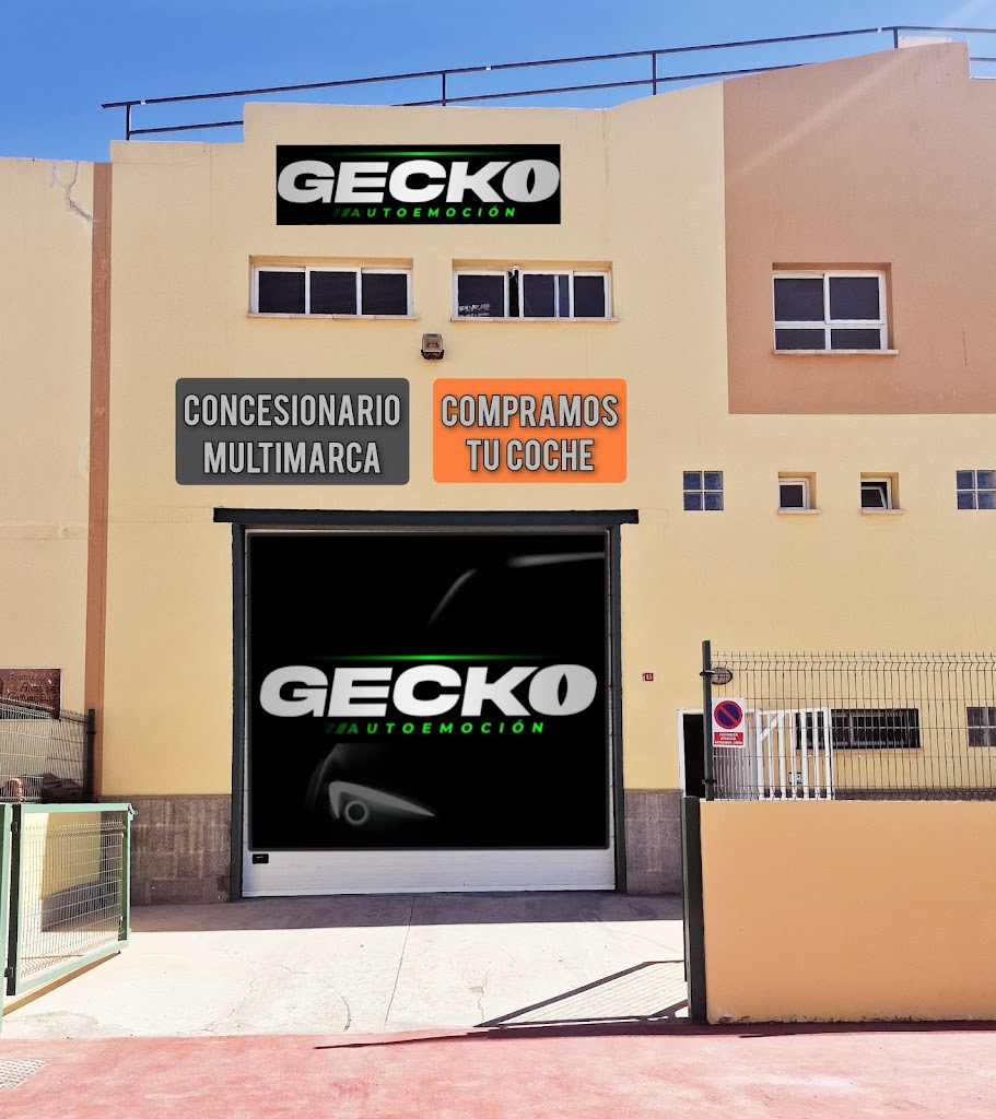 Gecko automocion
