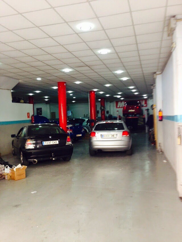 Planchisteria Miranda