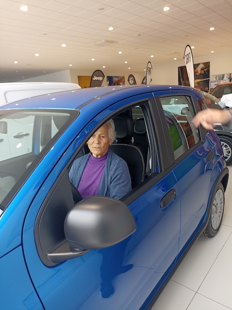 Fiat Caetano Motors — Todas