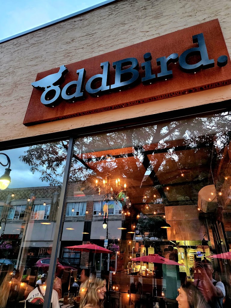 oddBird. in St-Catharines