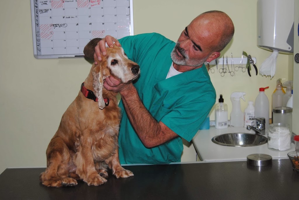 Clinica Veterinaria La Favorita — Del propietario
