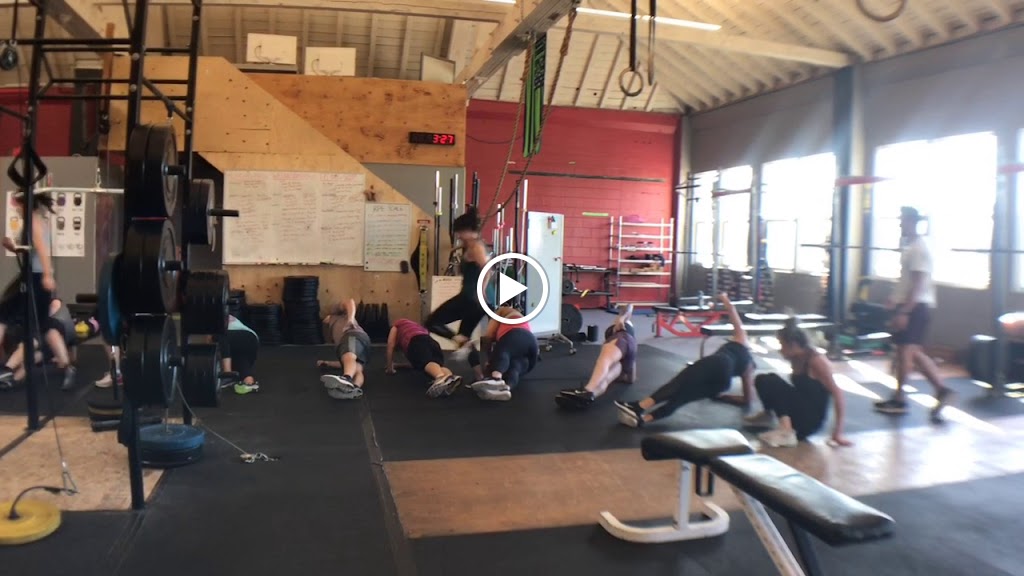  Grit City Fitness and Performance