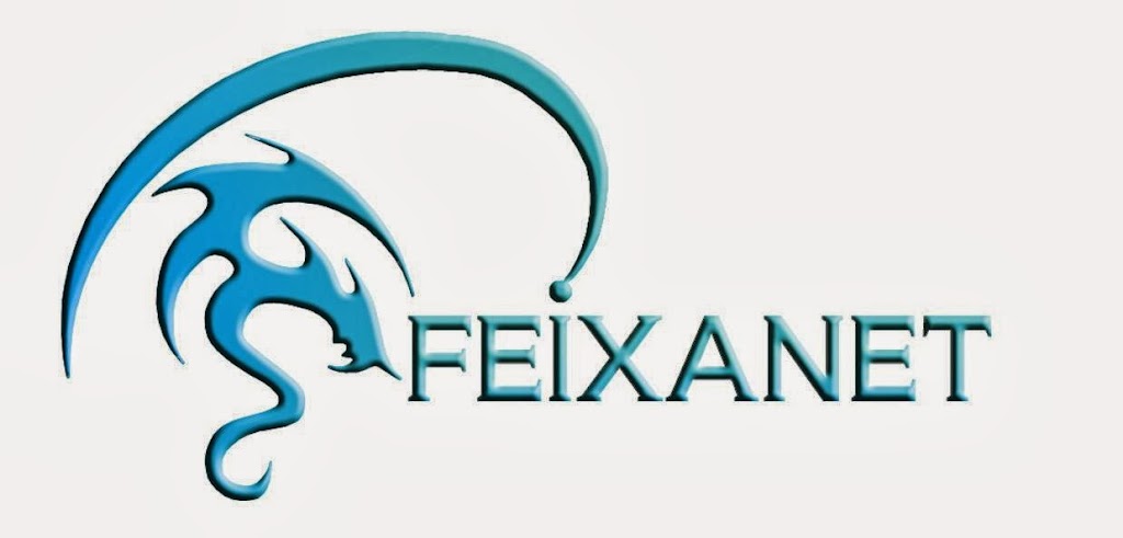 feixanet informatica en Lleida
