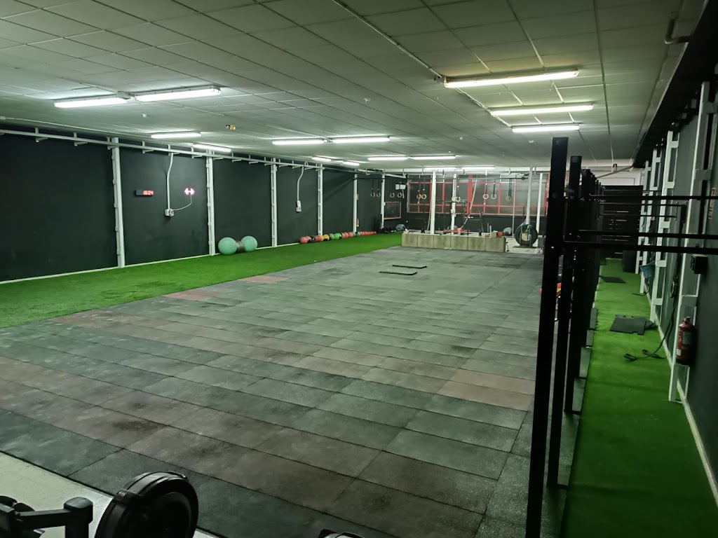 Club De Boxeo Evolution Elche