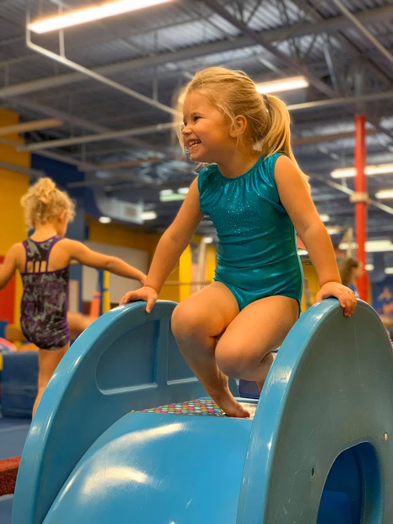  International Gold Gymnastics