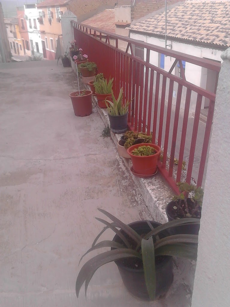 Automoviles Vicente