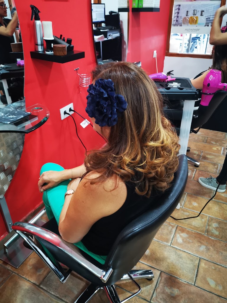 Peluqueria y estetica Sandra — Peinado