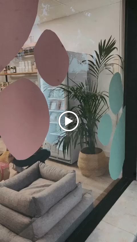 Pura Vida Animal - Clinica Veterinaria en Reus — Del propietario