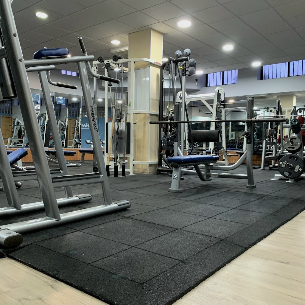 Dynamic Life Villanueva del Pardillo