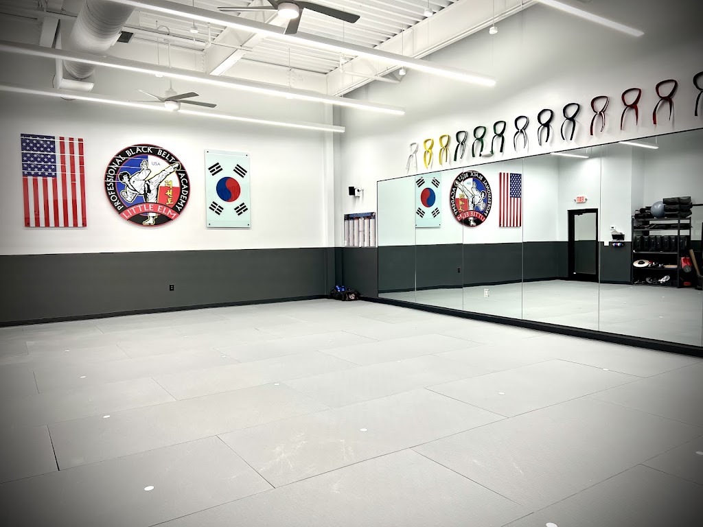  Professional Black Belt Academy Little Elm / West Frisco