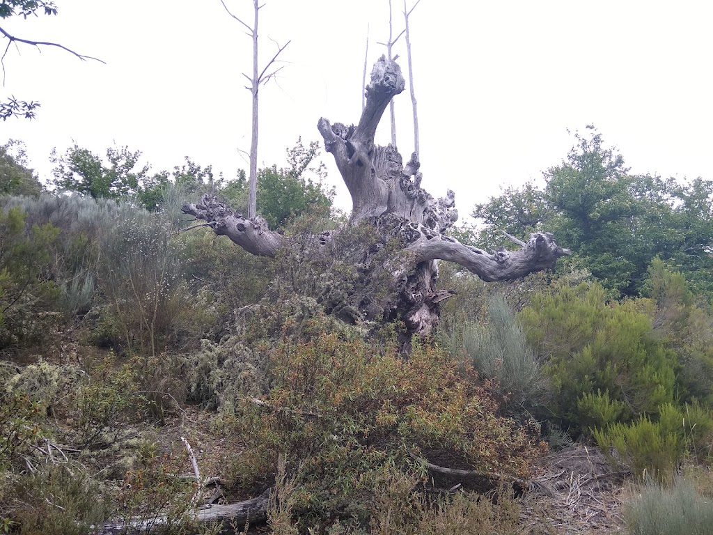 Ruta El Bao
