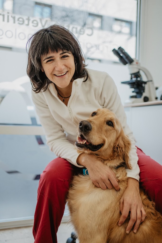 Centro Veterinario Espai Salut Animal