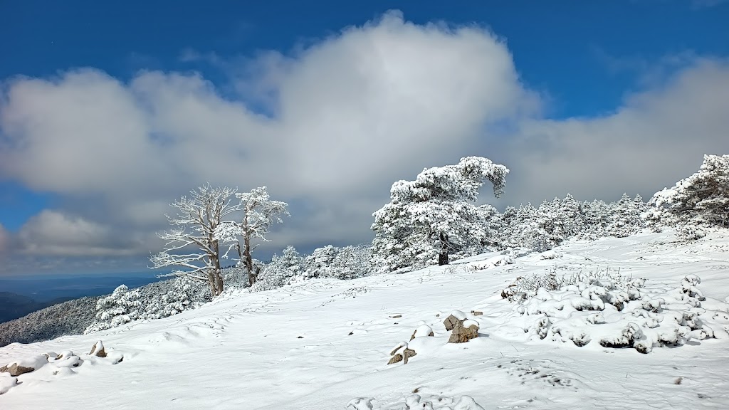 Collado de la Gitana