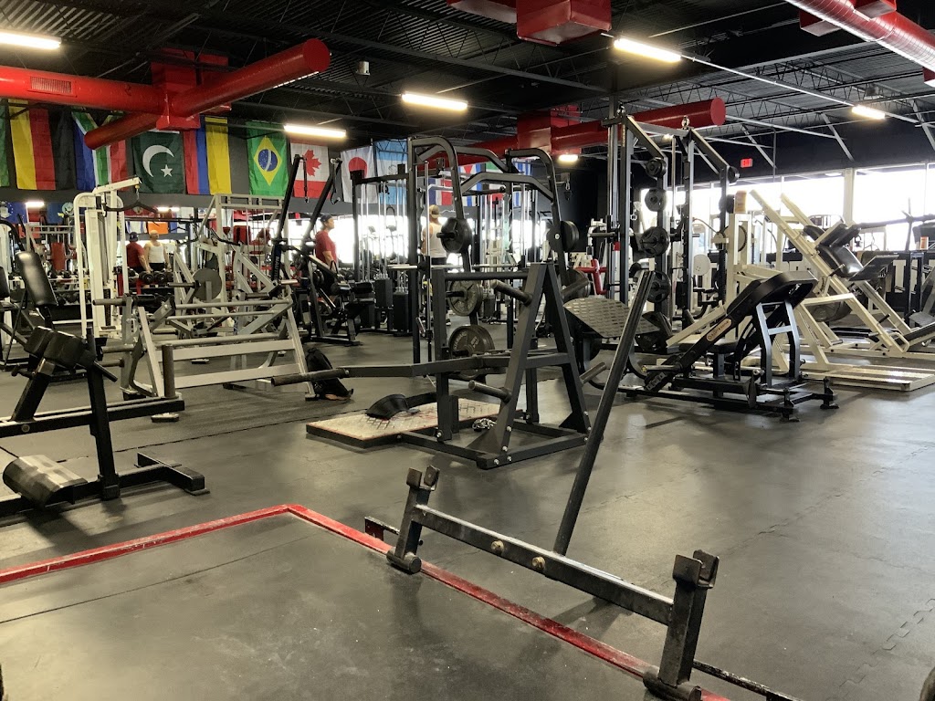  World Champ Training