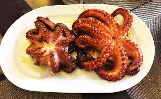 Nou Escull — pulpo