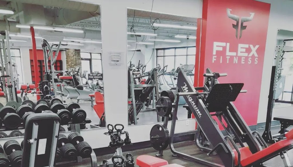  Flex Fitness