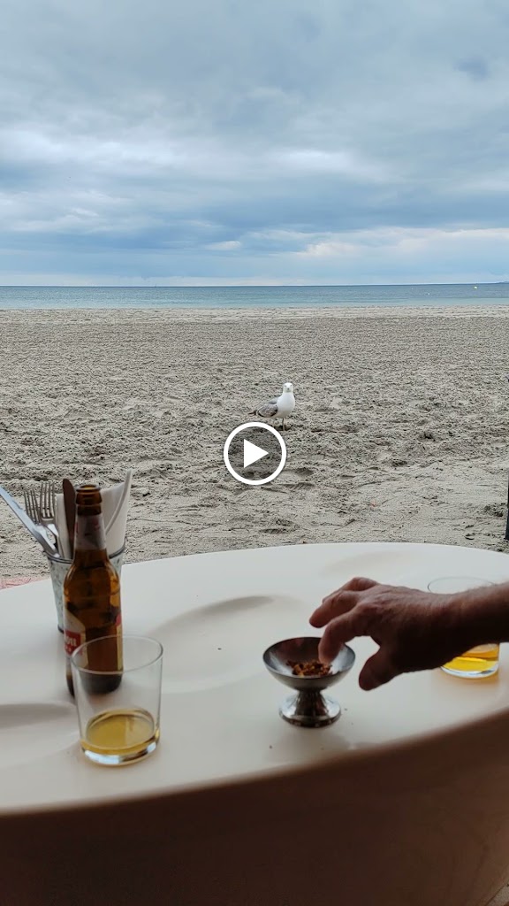 Old Fox beach bar — Videos