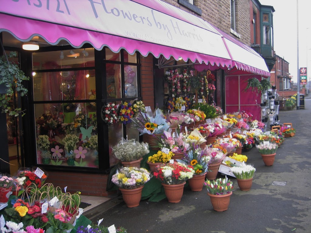 Flowers by Harris