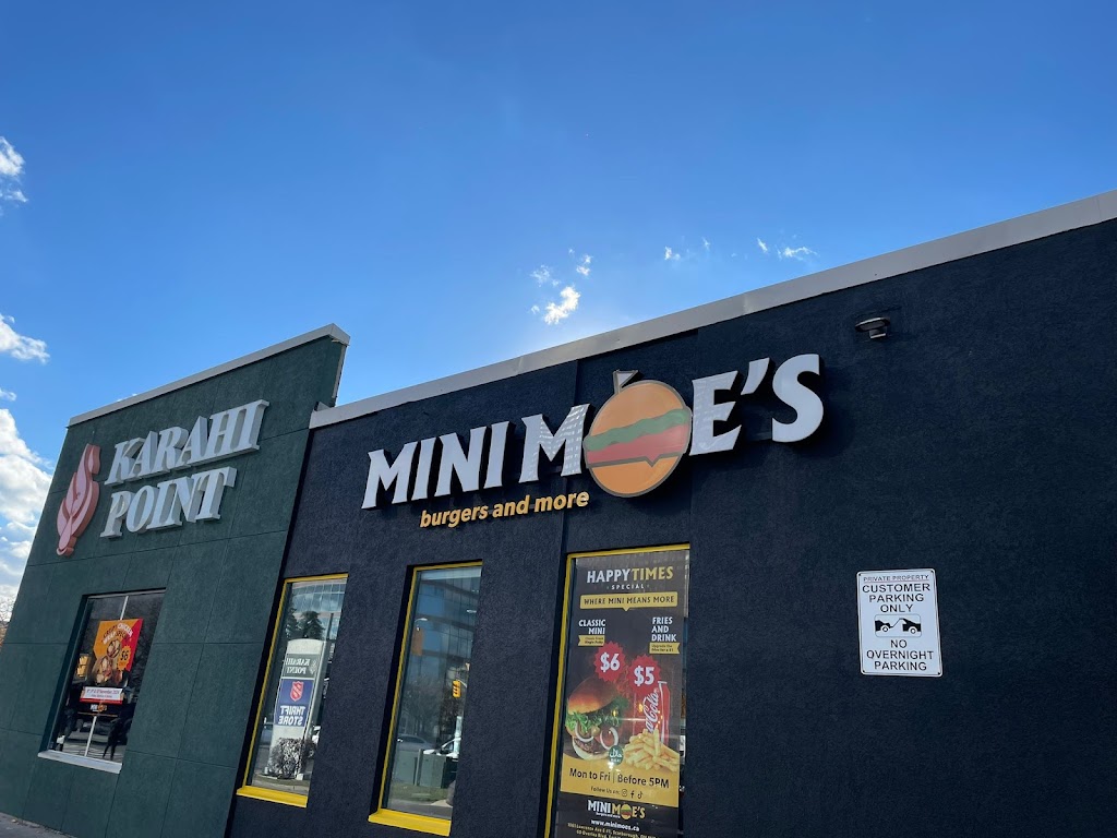 Mini Moe’s Burgers & Fries