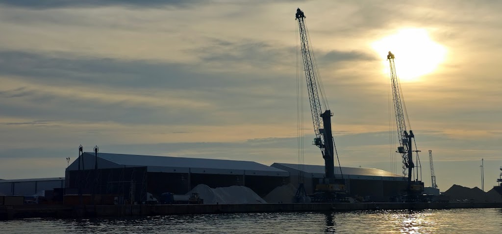 Terminal Maritima del Grao de Castellon, S.L.