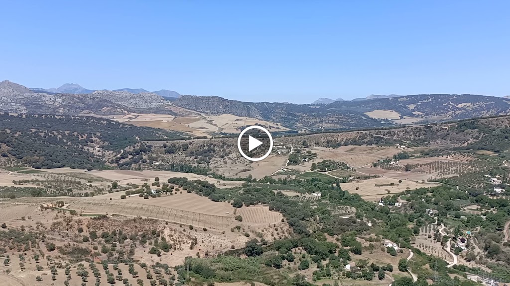 Restaurante El Campillo — Videos