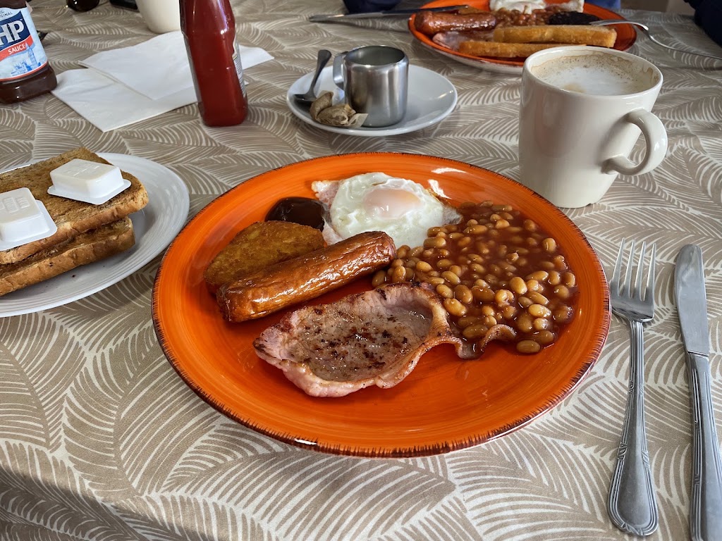 Lew's — Mas recientes
