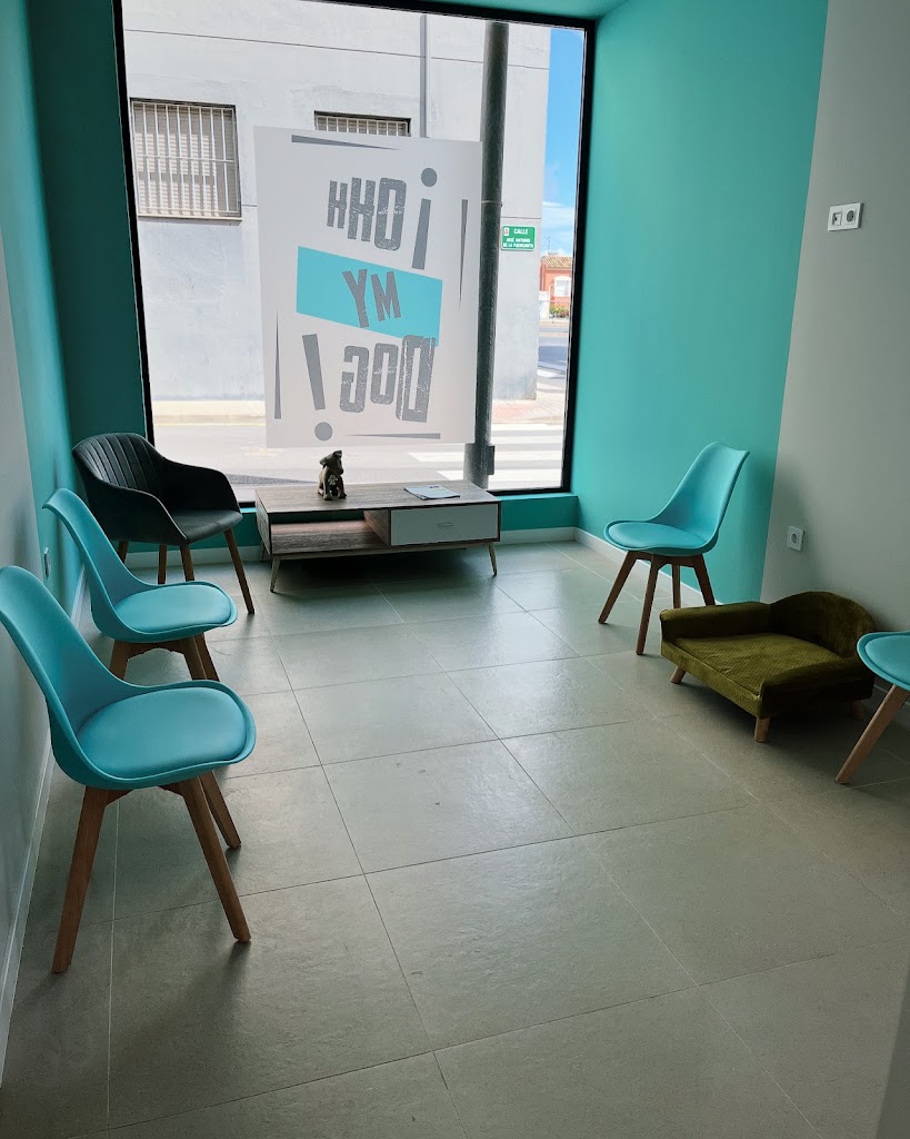 Clinica PETS Veterinaria — Del propietario