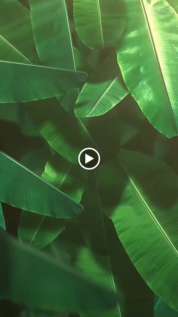 Dr. Dr Annaimathasiu S Agathiyar Siddha Clinic