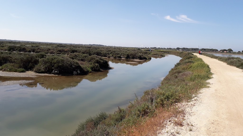Parque Natural Los Torunos