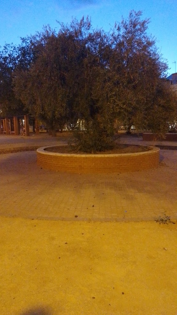 Parque Del Olivo