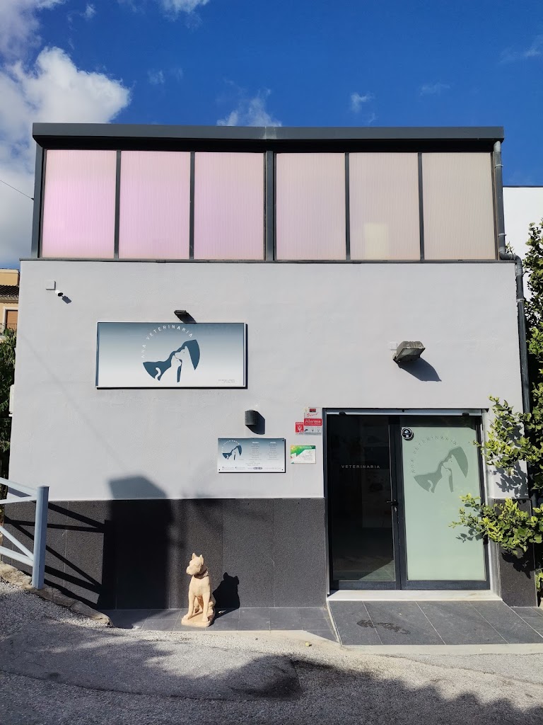 Clinica Veterinaria Ana Morales Loriguillo